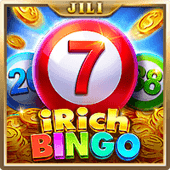 Bingo Irich DN8 slot